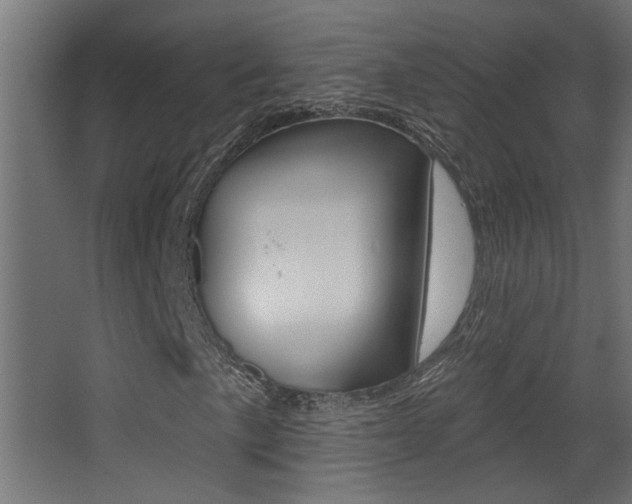 X0000068271057200604210934