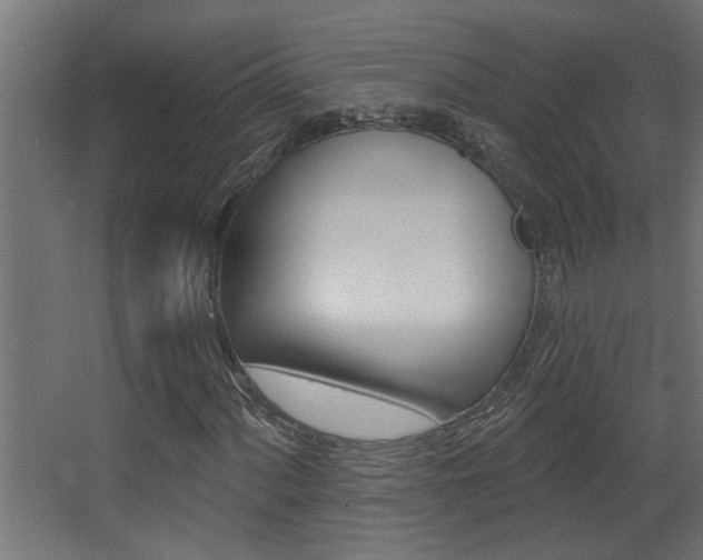 X0000068271060200604210934