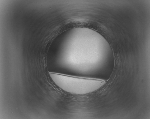 X0000068271061200604210934