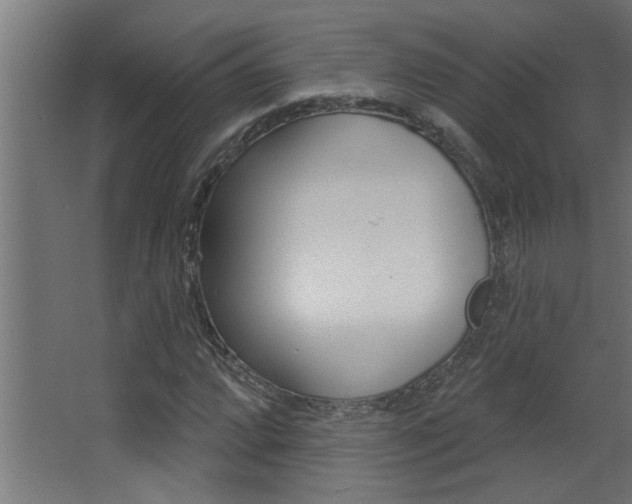 X0000068271064200604210934