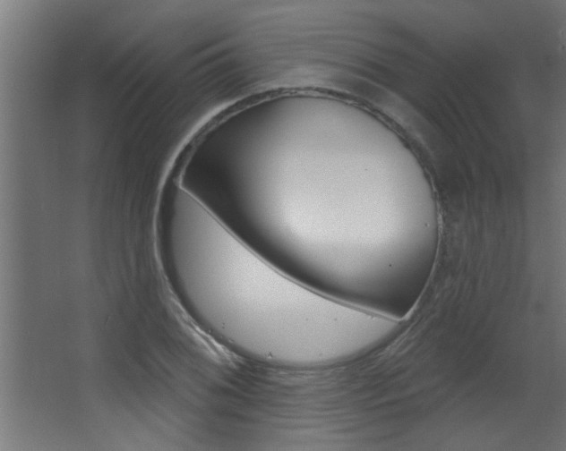 X0000068271076200604210934