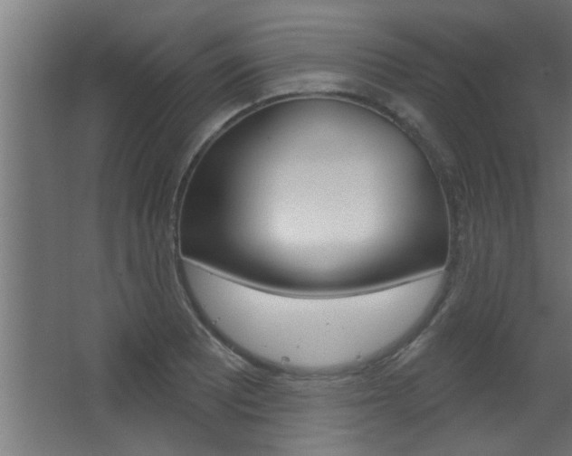 X0000068271081200604210934