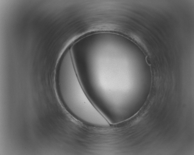 X0000068271085200604210934