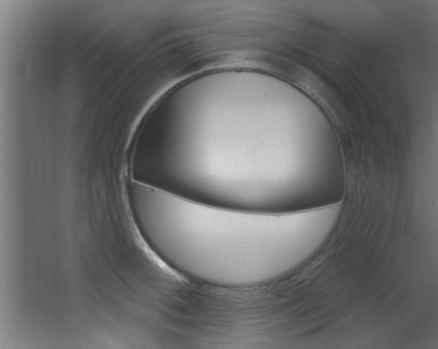 X0000068271092200604210934