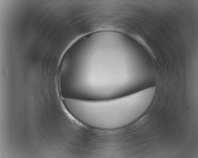 X0000068271100200604210934