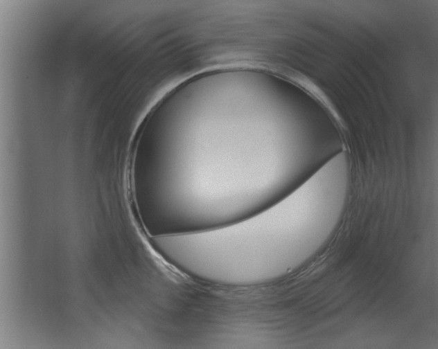 X0000068271101200604210934