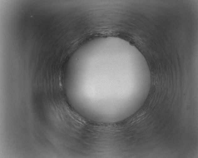 X0000068271106200604210933