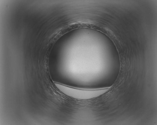 X0000068271110200604210933