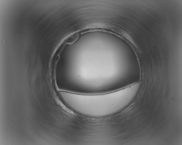 X0000068271116200604210933