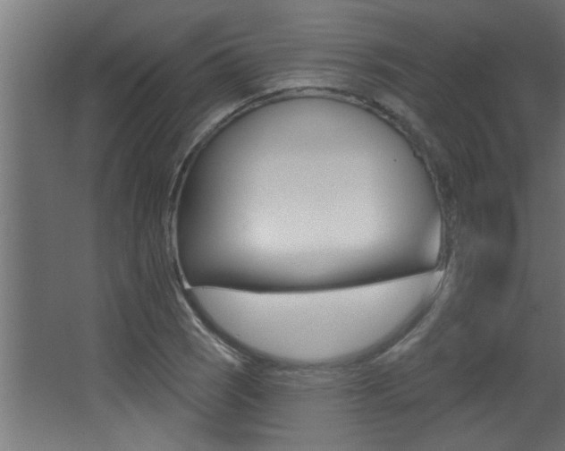 X0000068271121200604210933