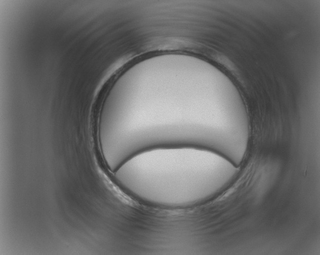 X0000068271122200604210933