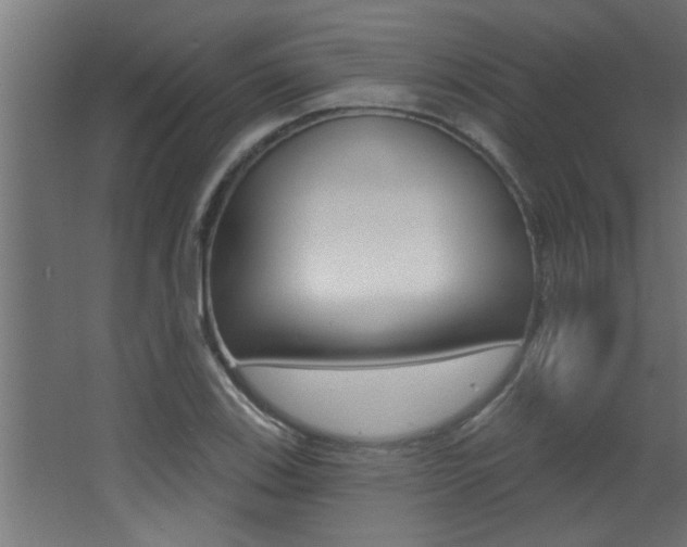 X0000068271123200604210933