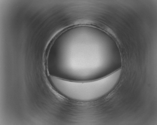X0000068271124200604210933