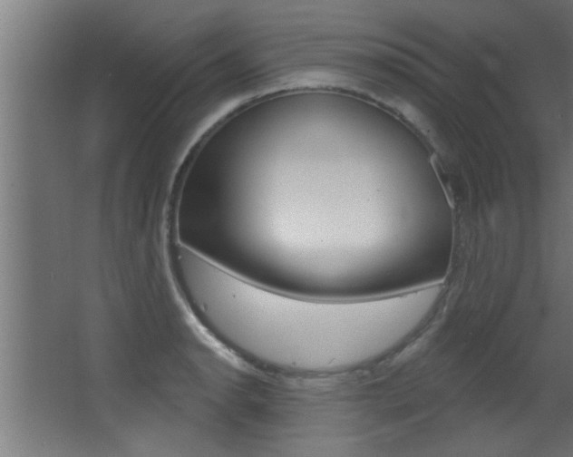 X0000068271134200604210933