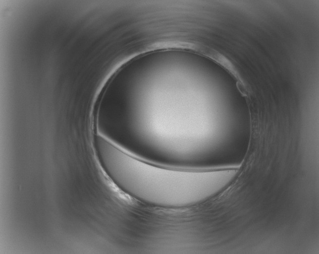 X0000068271140200604210933