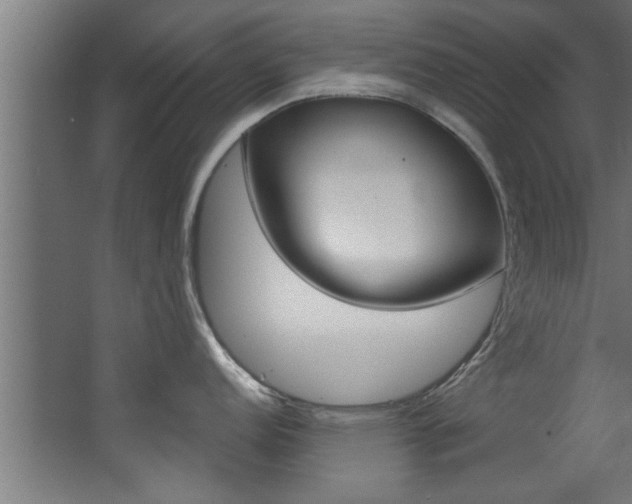 X0000068271152200604210934
