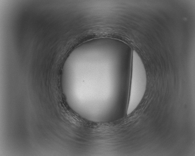 X0000068271153200604210933