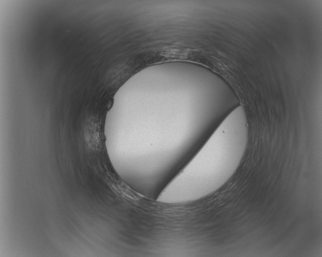 X0000068271154200604210933