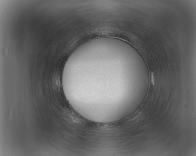 X0000068271155200604210933