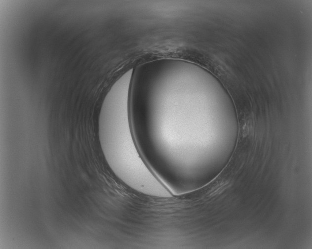 X0000068271156200604210933