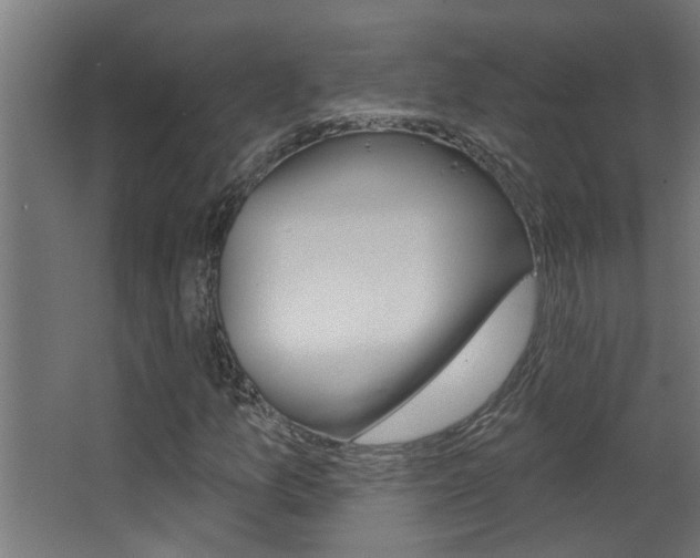 X0000068271157200604210933