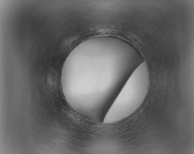 X0000068271158200604210933