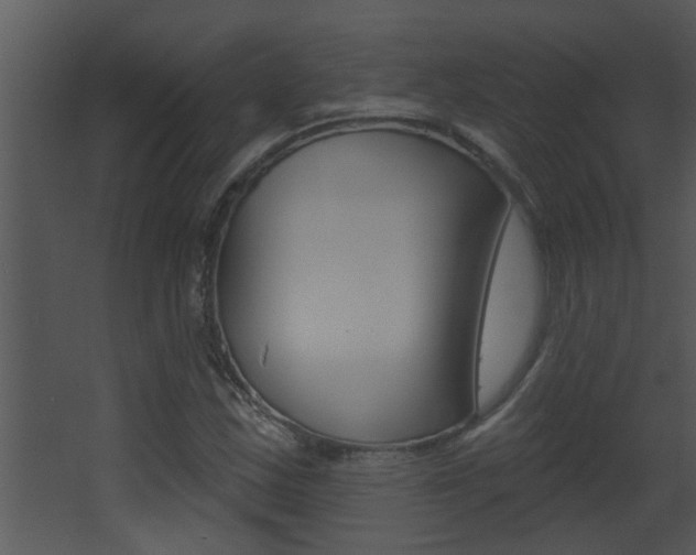 X0000068271163200604210933