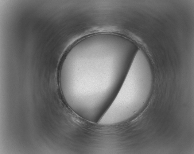 X0000068271174200604210932