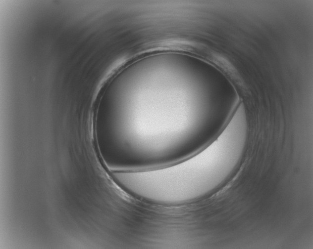 X0000068271180200604210932