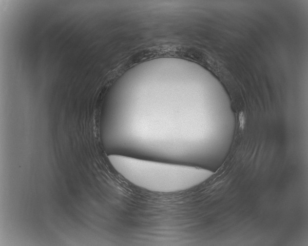 X0000068271203200604210931