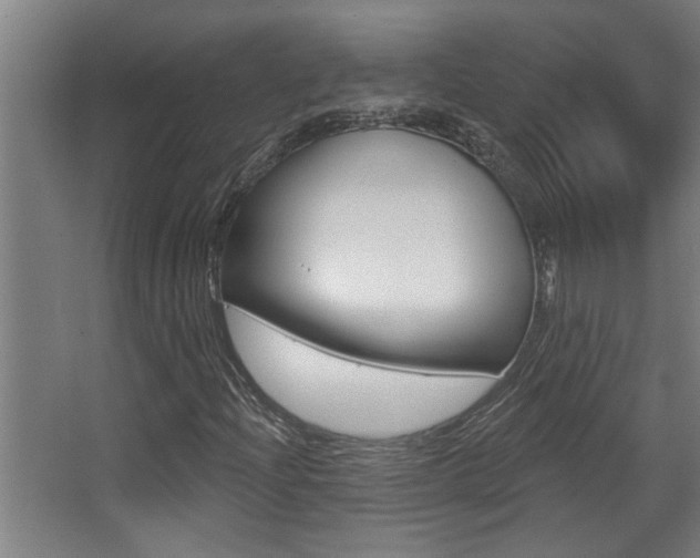 X0000068271204200604210931