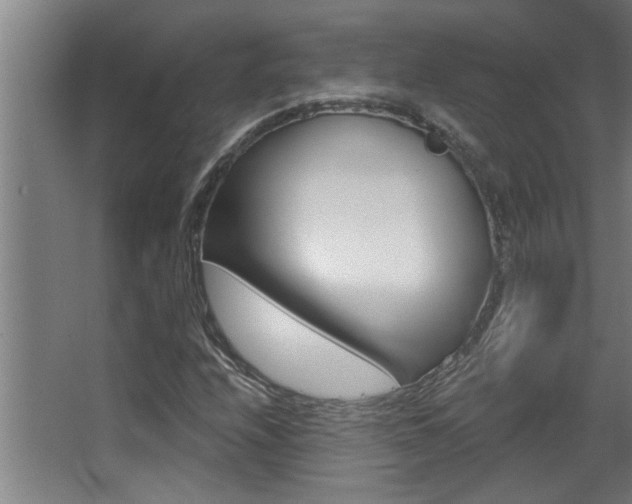 X0000068271208200604210931