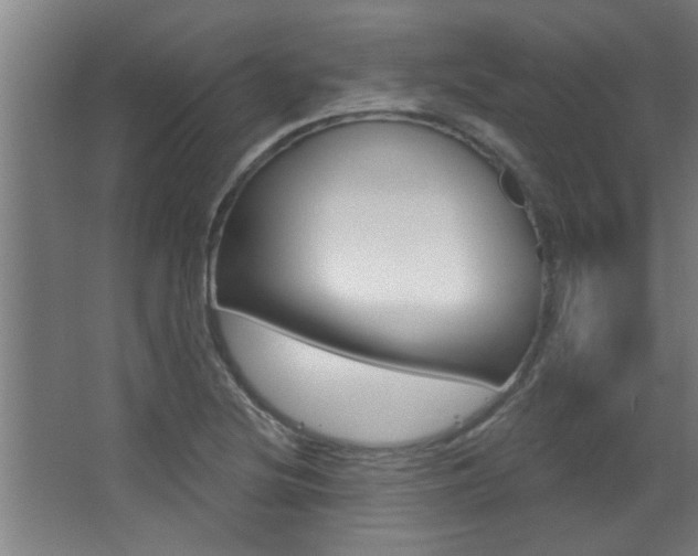 X0000068271220200604210931