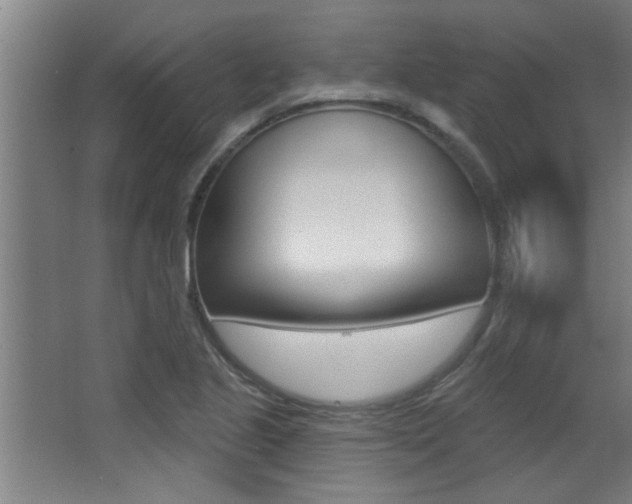 X0000068271221200604210931