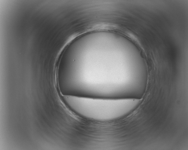X0000068271227200604210932