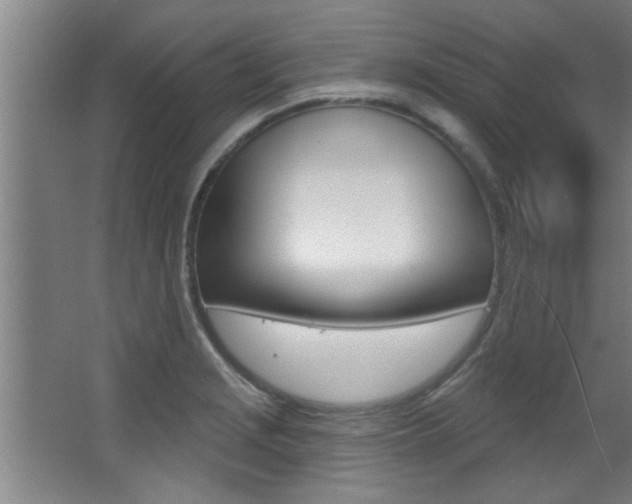 X0000068271229200604210932