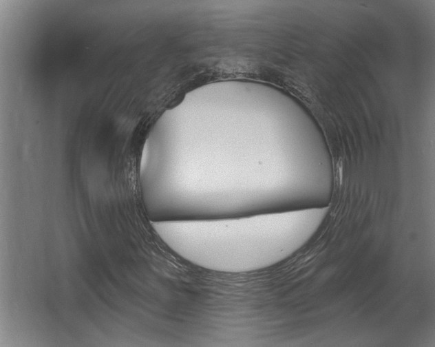 X0000068271251200604210931