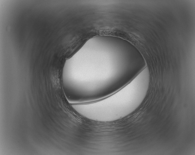 X0000068271252200604210931