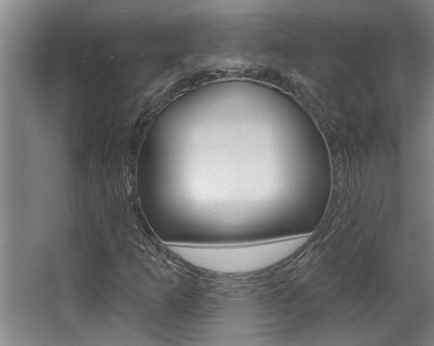 X0000068271253200604210931