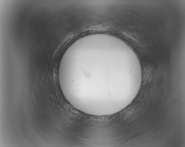 X0000068271254200604210931