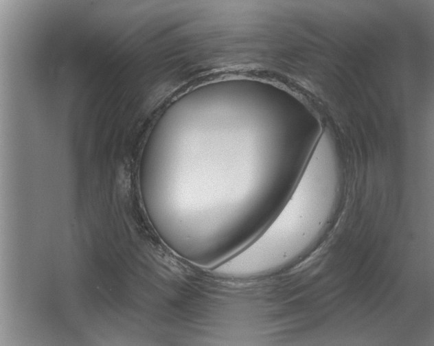 X0000068271257200604210931