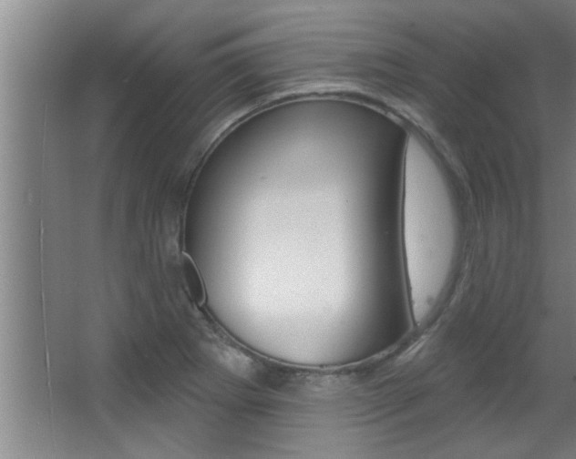 X0000068271273200604210931