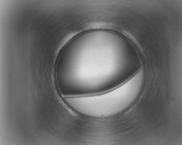 X0000068271277200604210931