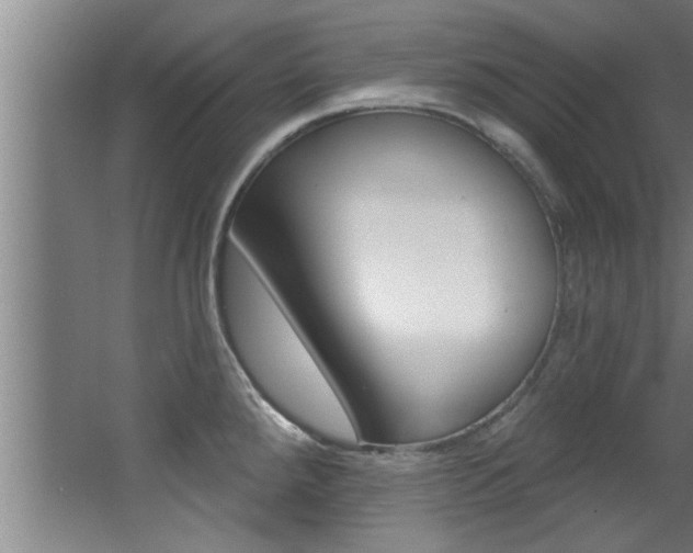 X0000068271288200604210930