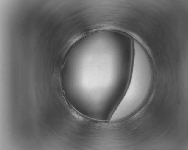 X0000068271289200604210930