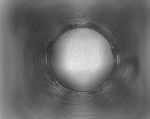 X0000068271299200604210930