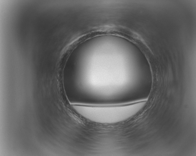 X0000068271304200604210930