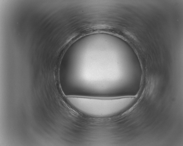 X0000068271305200604210930
