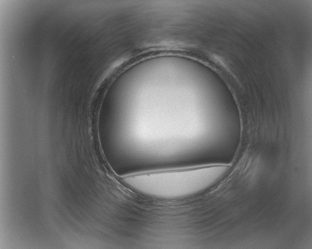 X0000068271307200604210930