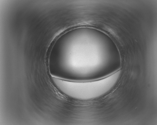 X0000068271308200604210930